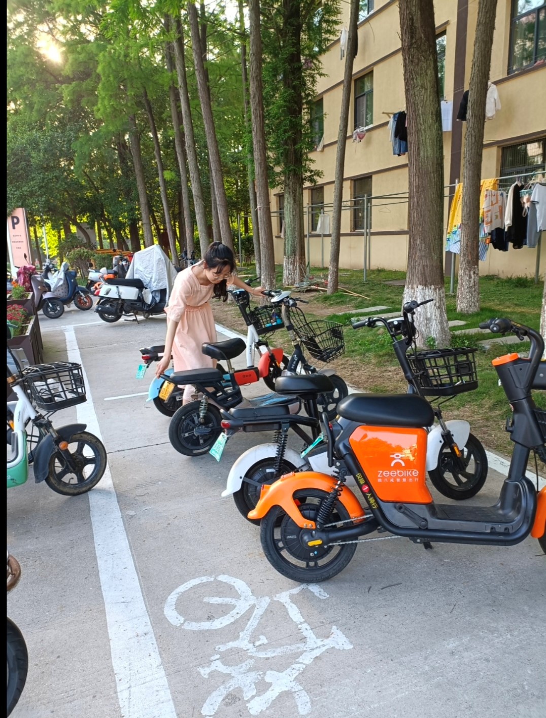 皇冠APP体育