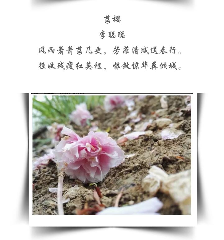 皇冠APP体育