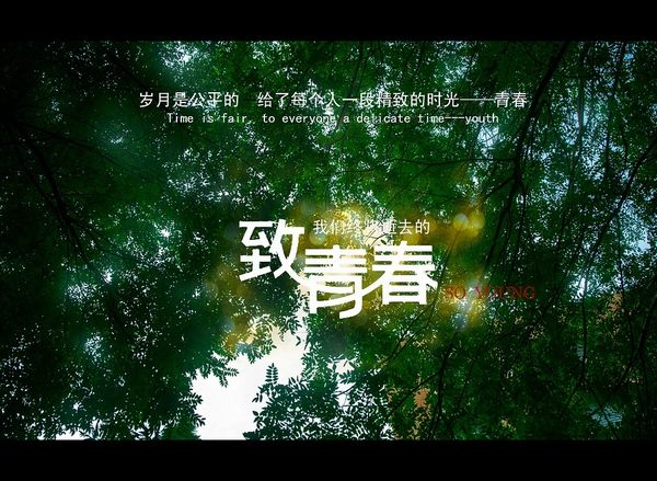 皇冠APP体育